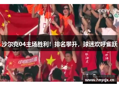 沙尔克04主场胜利！排名攀升，球迷欢呼雀跃