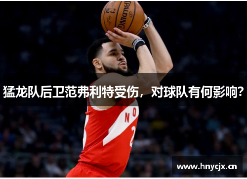 猛龙队后卫范弗利特受伤，对球队有何影响？